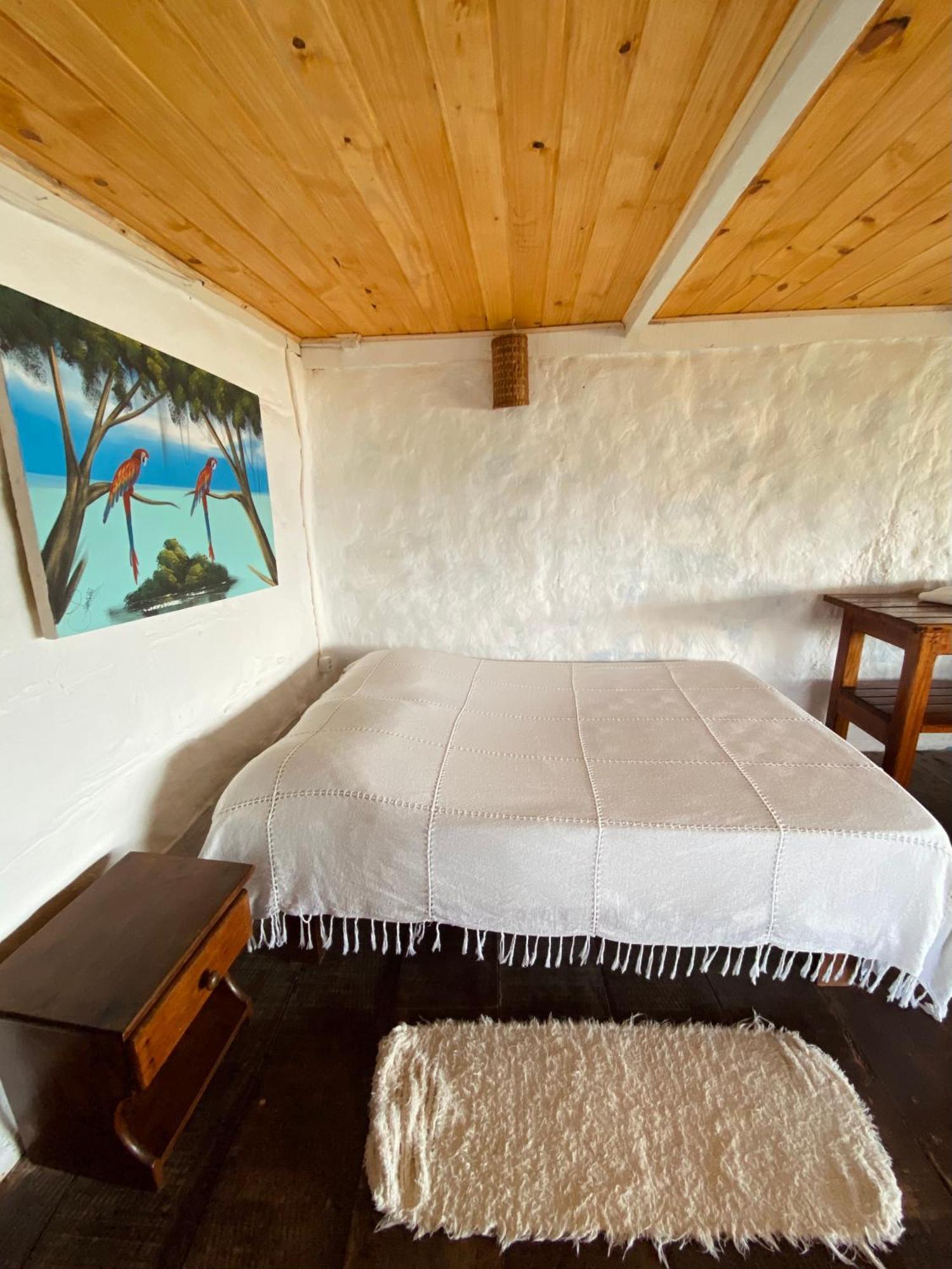 Pousada Paraiso Das Tartarugas Praia de Pipa Ngoại thất bức ảnh