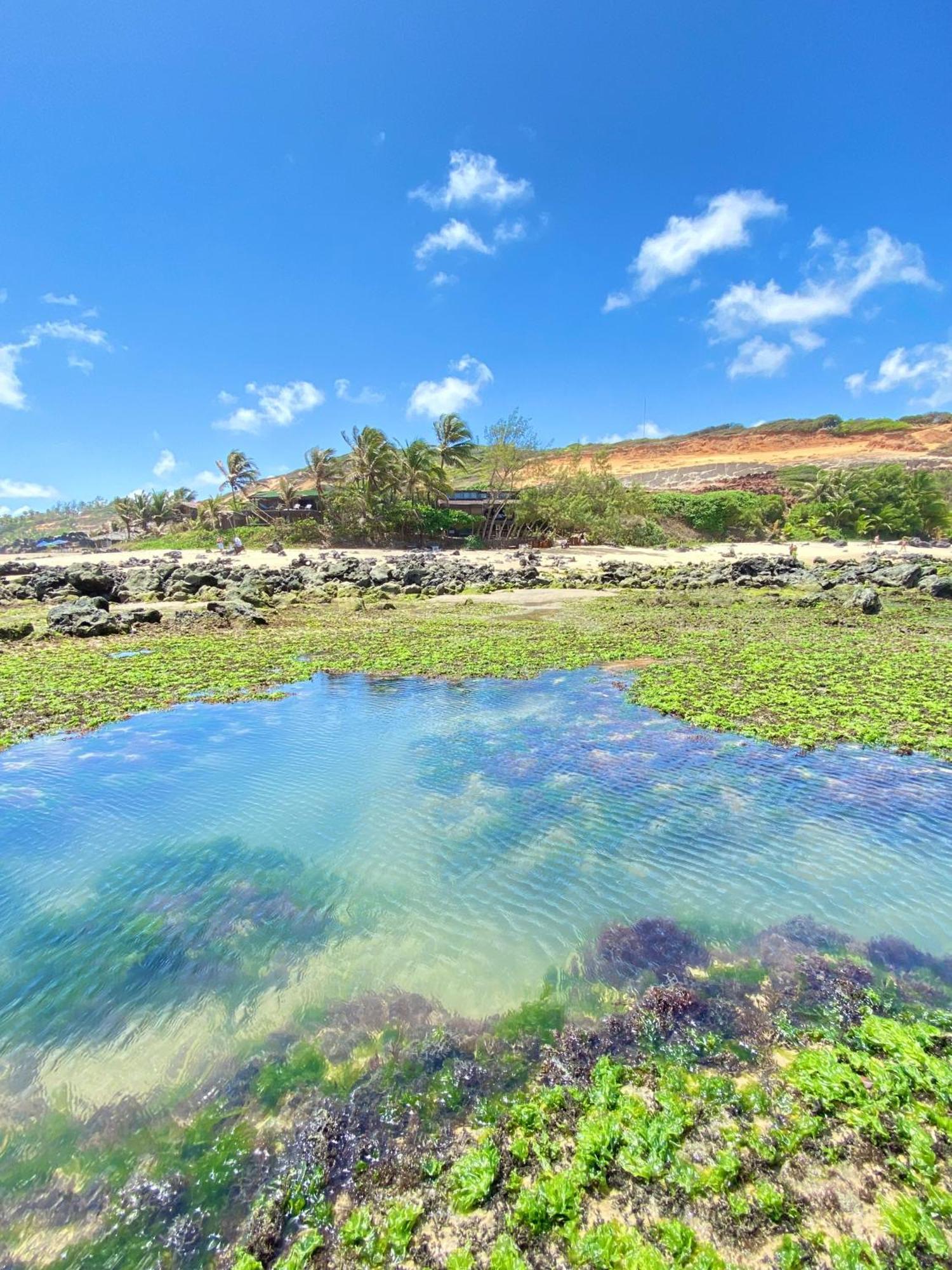 Pousada Paraiso Das Tartarugas Praia de Pipa Ngoại thất bức ảnh